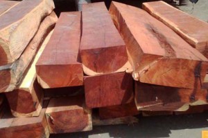 Gỗ hương đá có điểm gì nổi bật mà thiết kế nội thất luôn được ưa chuộng
